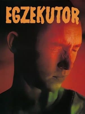 Egzekutor streaming