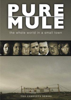 Pure Mule streaming