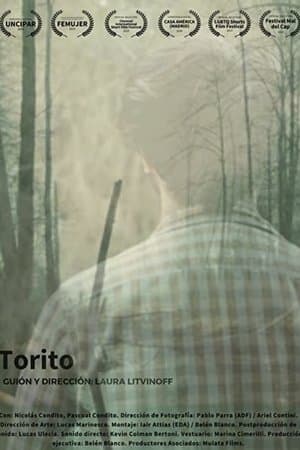 Torito streaming