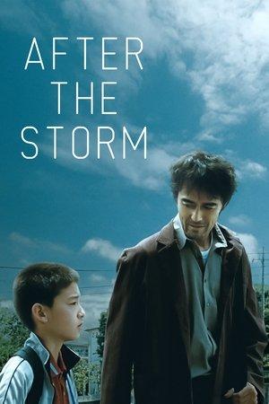 After the Storm streaming