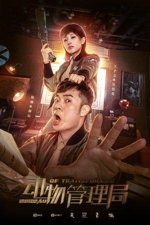 Bureau of Transformer streaming
