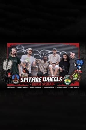 Johnny's Spitfire Vid streaming