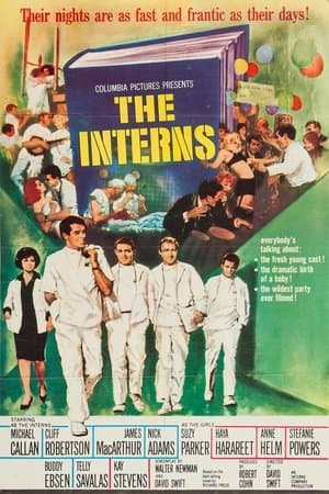 The Interns streaming