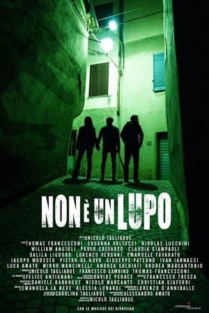 Non è un lupo streaming