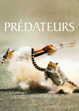 Prédateurs streaming
