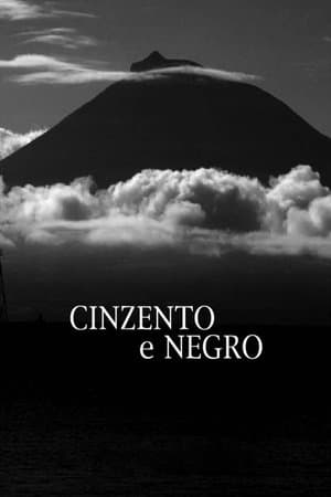 Grey and Black streaming