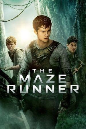 The Maze Runner streaming