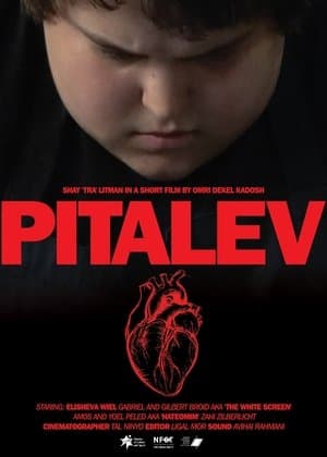 Pitalev streaming