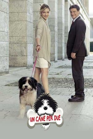 Un cane per due streaming