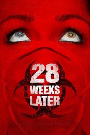 28 Weeks Later streaming
