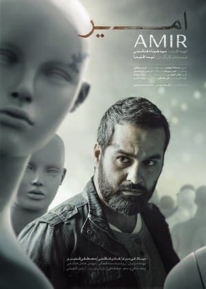 Amir streaming