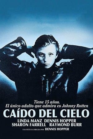 Caído del cielo streaming