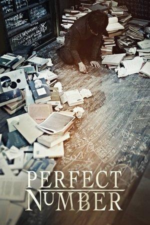 Perfect Number streaming