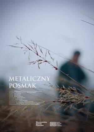 Metaliczny posmak streaming