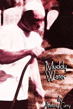 Muddy Water streaming