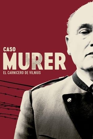 Caso Murer: El carnicero de Vilnius streaming