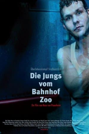 Die Jungs vom Bahnhof Zoo streaming