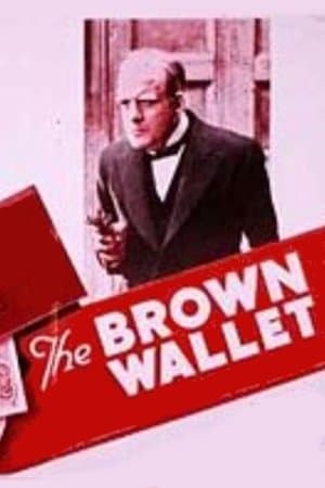 The Brown Wallet streaming