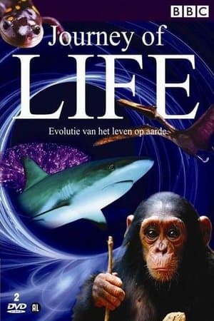 Journey of Life streaming