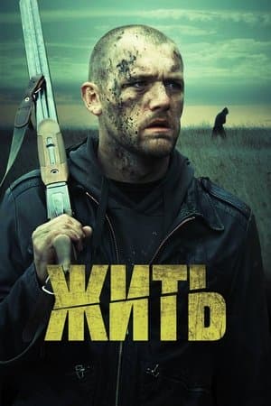 Zhit streaming
