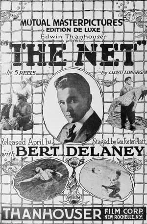 The Net streaming