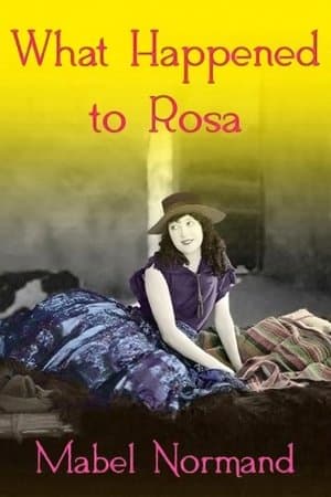 What Happened To Rosa streaming