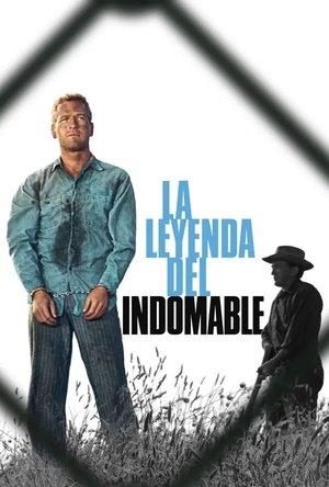 La leyenda del indomable streaming