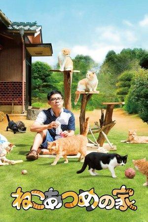 ねこあつめの家 streaming