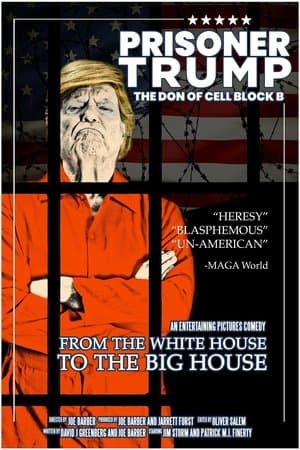 Prisoner Trump: The Don of Cell Block B streaming