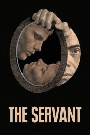The Servant streaming
