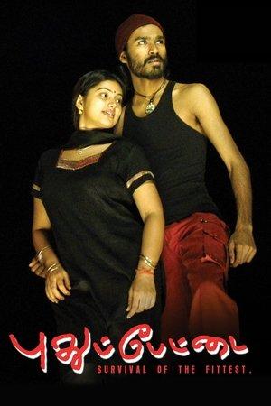 புதுப்பேட்டை streaming