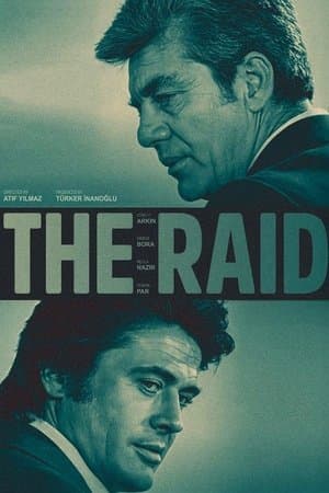 The Raid streaming