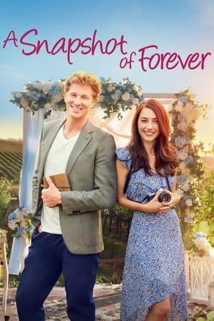 A Snapshot of Forever streaming