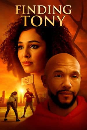 Finding Tony streaming