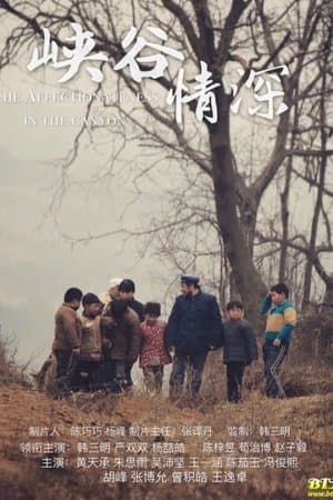 峡谷情深 streaming