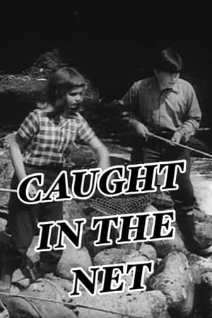 Caught in the Net streaming