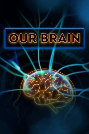 Our Brain streaming