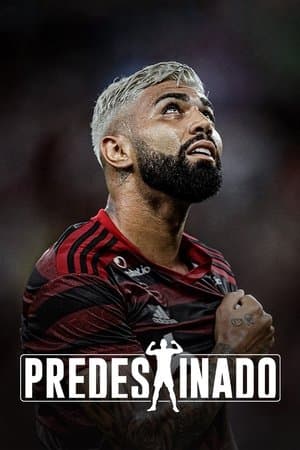 Predestinado streaming