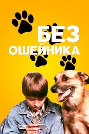 Без ошейника streaming