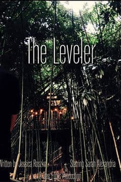 The Leveler streaming