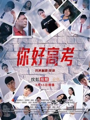 你好高考 streaming