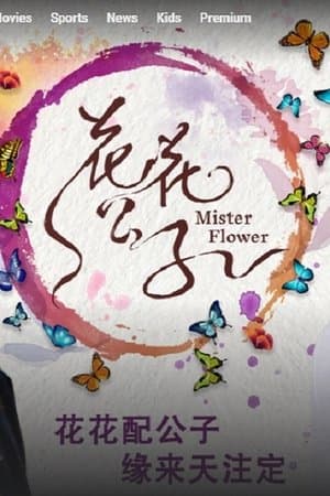 Mister Flower streaming
