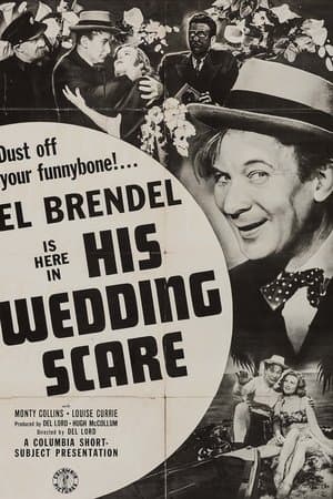 His Wedding Scare streaming