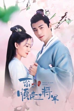 一不小心顺走了将军 streaming