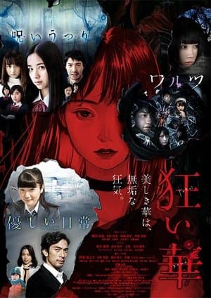 Kuruibana streaming