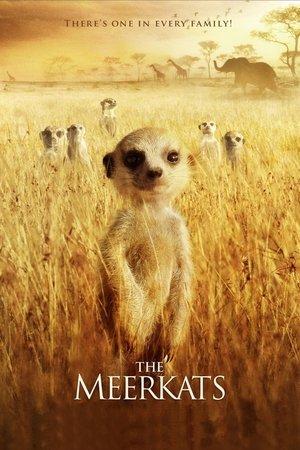 The Meerkats streaming