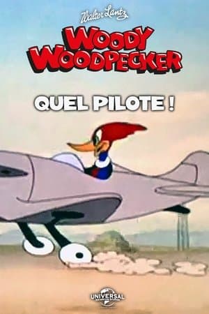 Quel Pilote ! streaming