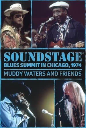 Soundstage Blues Summit In Chicago: Muddy Waters And Friends streaming
