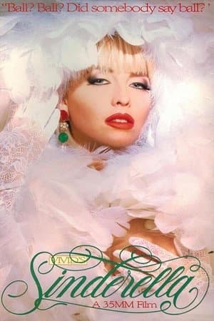 La Double vie des Cendrillon streaming