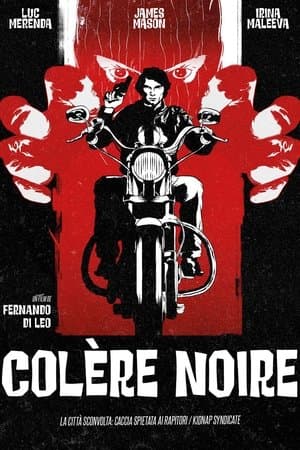 Colère noire streaming